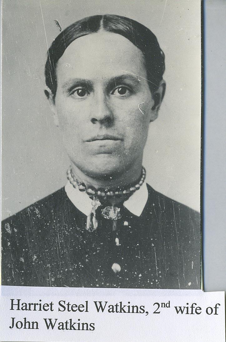 Harriet Steele (1841 - 1884) Profile